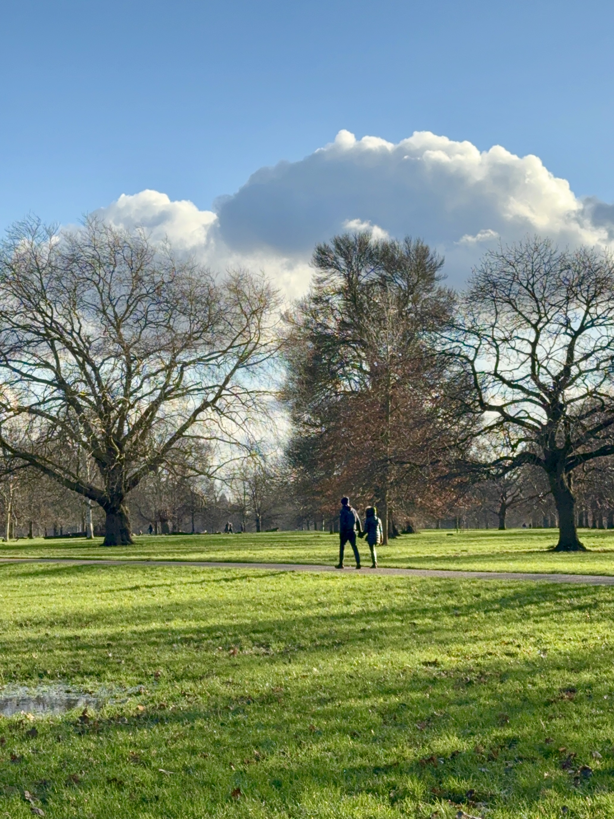 伦敦·18号波彻斯特花园 No. 18 Porchester Gardens 找房实拍